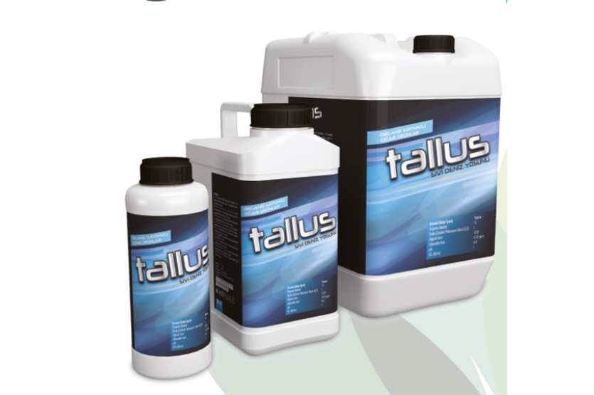 TALLUS